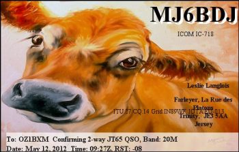 Cow on QSL-card